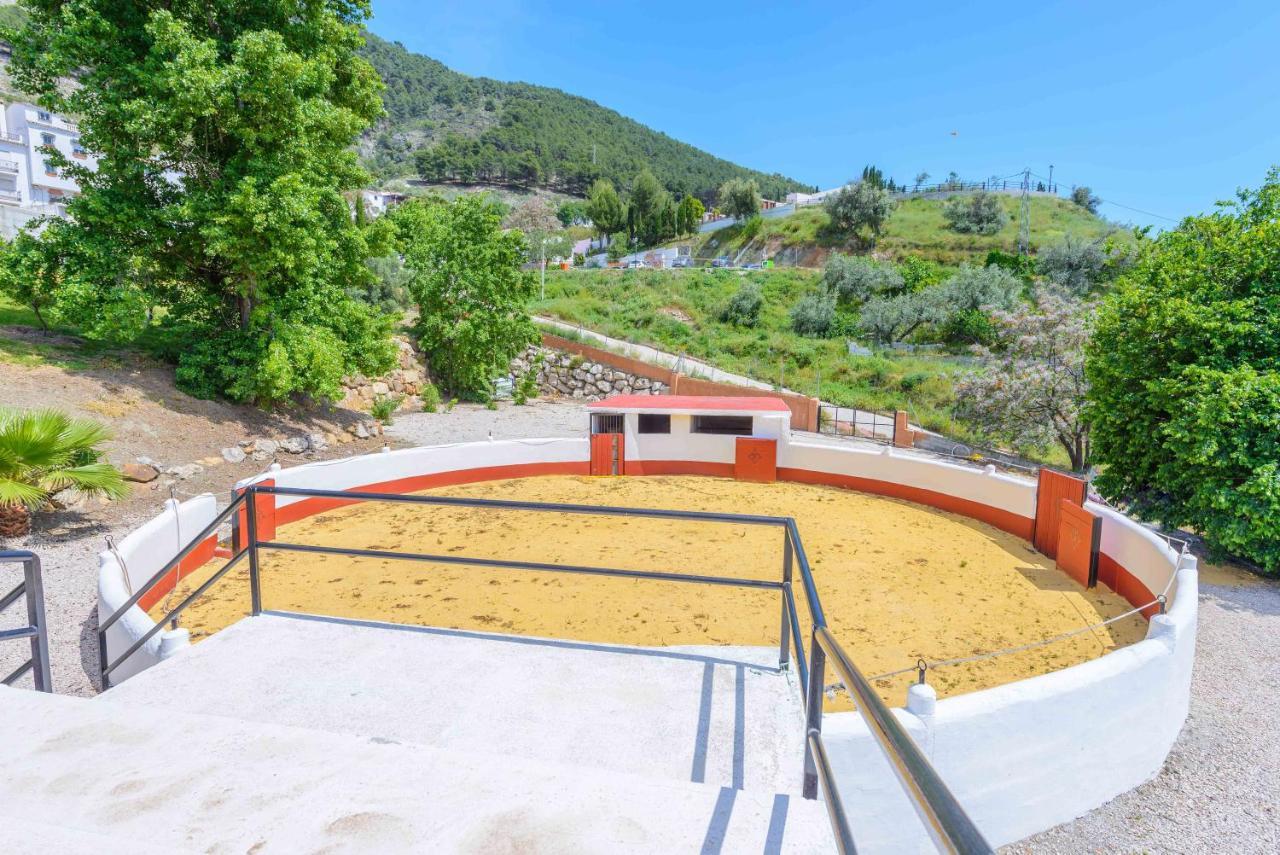 Casa Flores con Piscina interior climatizada Alcaucín Esterno foto